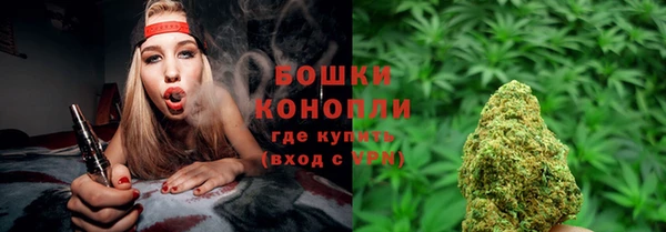 молекула духа Нефтекумск