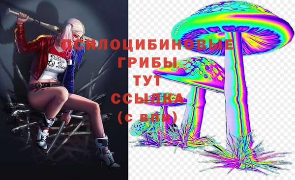 молекула духа Нефтекумск
