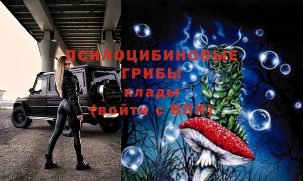 стафф Нея