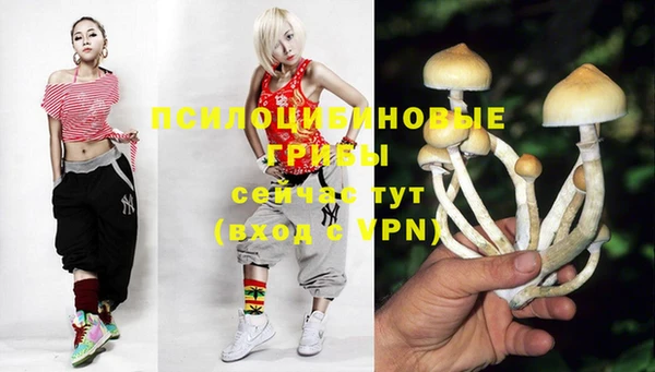 дмт Нефтегорск