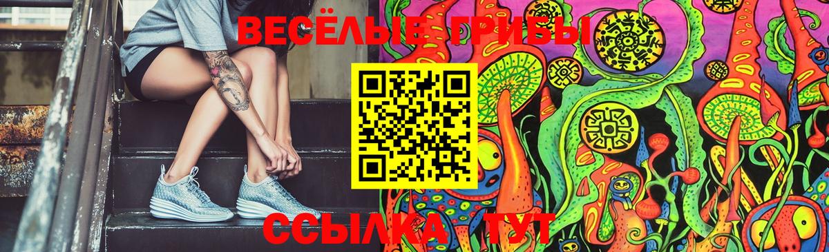 Галлюциногенные грибы мухоморы Волгодонск