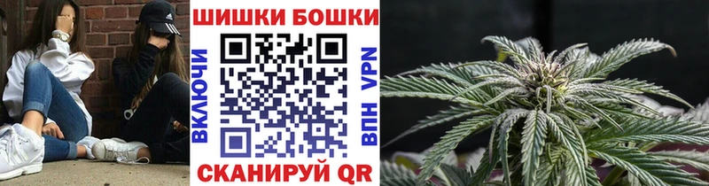 Купить закладки  Волгодонск  Бошки Шишки White Widow 